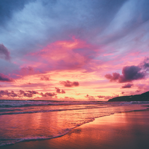 成人无码区免费A片视频日本
